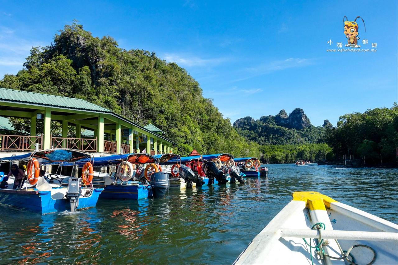 Jelajahi Hutan Mangrove Langkawi: Ekowisata yang Menakjubkan