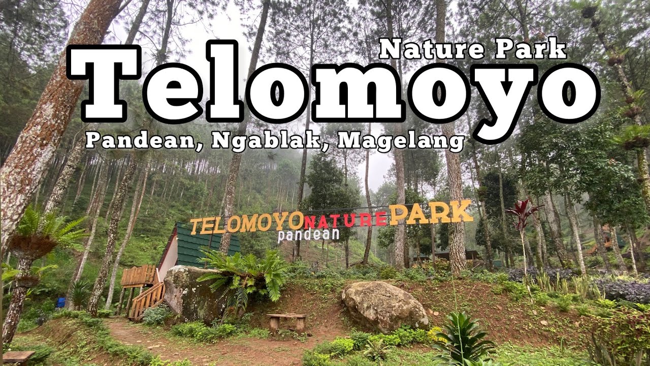 Telomoyo Nature Park: Pesona Alam Jawa Tengah yang Menakjubkan